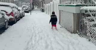 নিউ ইয়র্ক–নিউ জার্সিতে মৌসুমের প্রথম তুষারপাত; ফ্লাইট বাতিল ও বিদ্যুৎ বিভ্রাটে জনজীবন বিপর্যস্ত